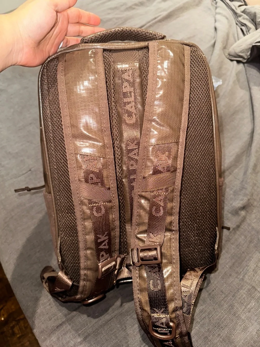 Calpak Terra Laptop Cacao